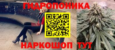 скорость Гатчина
