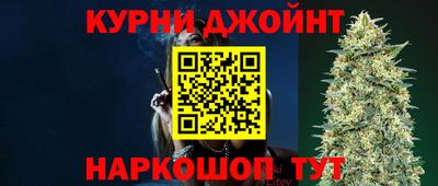 сатива Гай