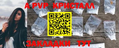 сатива Гай