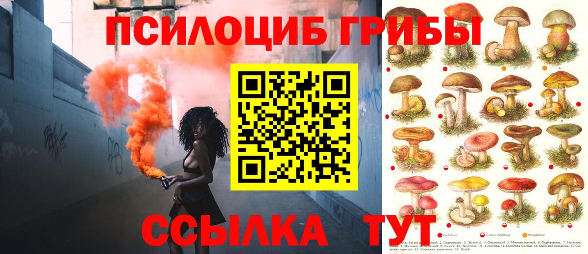 Псилоцибиновые грибы прущие грибы Камышин