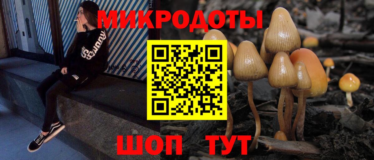 Галлюциногенные грибы Psilocybine cubensis  Вход с VPN  Галлюциногенные грибы GOLDEN TEACHER  купить закладку  Камышин 